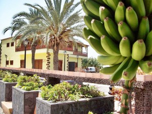 Bananenmuseum Tazacorte: neue Öffnungszeiten. Foto: La Palma 24