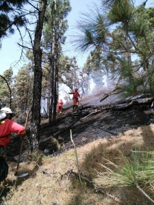 Einheiten der Unidad Militar de Emergencias (UME) in Fuencaliente: Auch in den Gebieten, wo das Feuer unter Kontrolle ist, muss weiter kontrolliert, nachgearbeitet und gewässert werden. Foto: UME