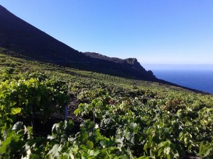 Ade Mega-Tsunami - willkommen in der Realität: Amerikaner bekämen maximal nasse Füsse. Foto: La Palma 24