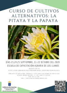 Kurs der alternativen Kulturen: Papaya und Pitaya