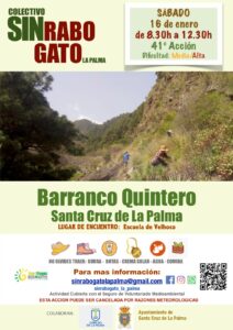 Freiwilligenaktion zur Entfernung des Rabogato in Santa Cruz de La Palma